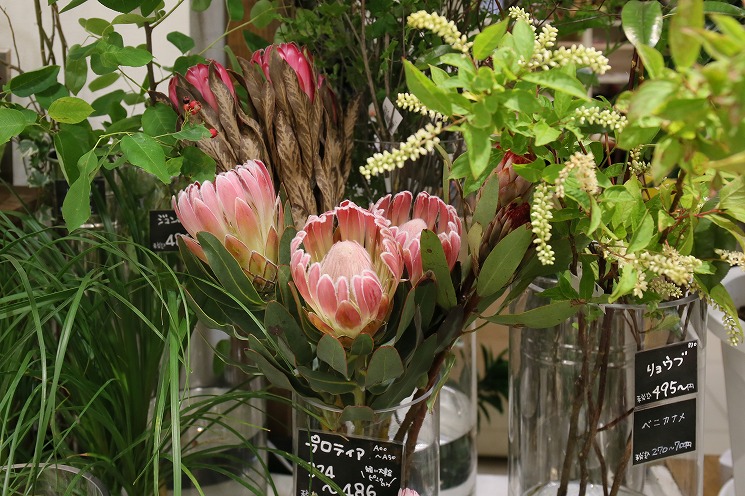 みずみずしく華やかなお花を…