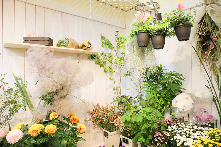 花美 ホクレンショップ平岡公園通店 札幌市清田区の花屋