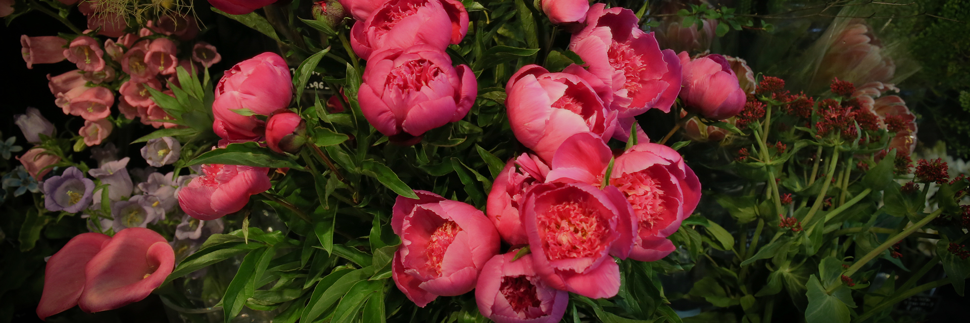 シャクヤクやカンパニュラなどの花